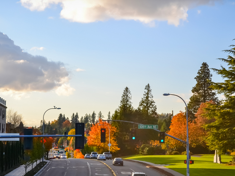 Redmond,Wa,-,City,Views